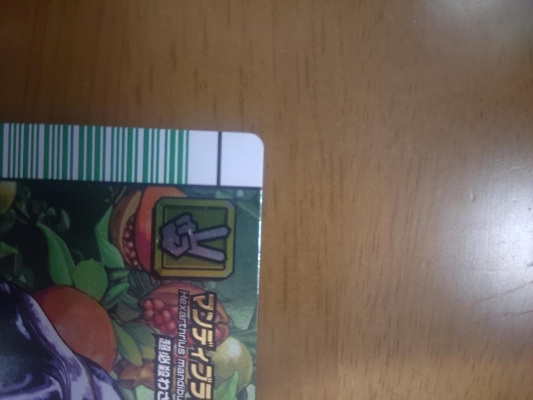 ムシキング　マンディブラリスフタマタクワガタ　五周年