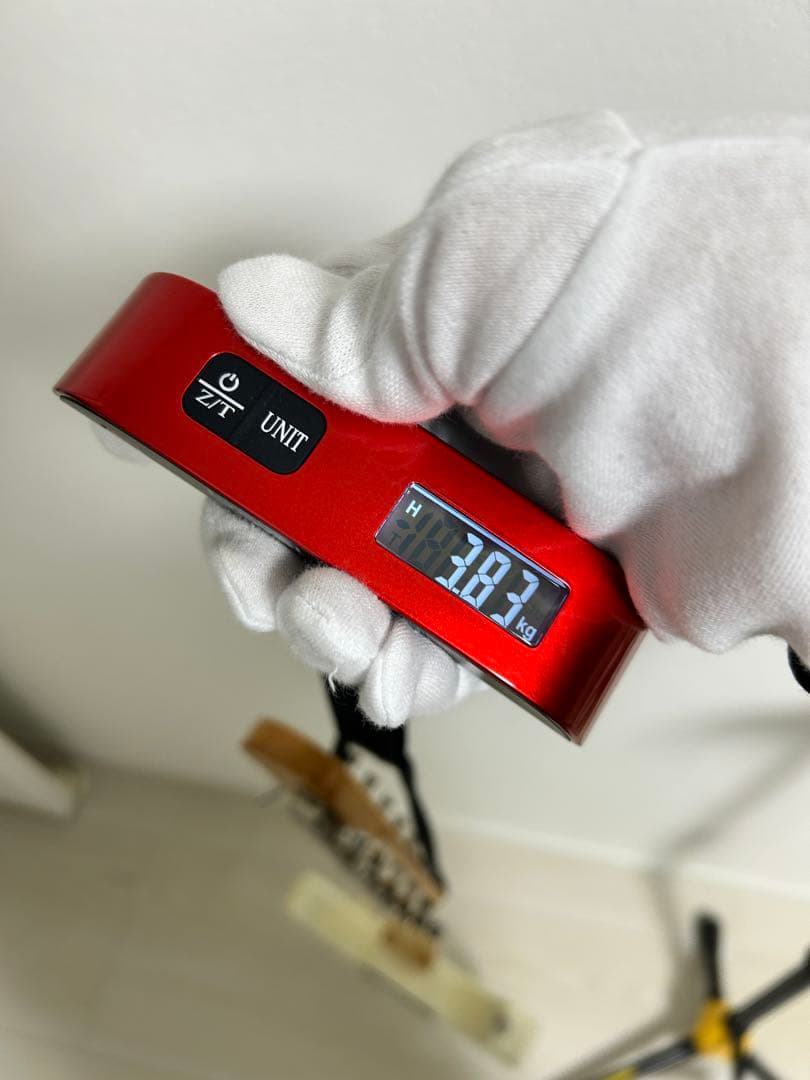 ギター Bacchus UNIVERSE SERIES BST-250? 350?