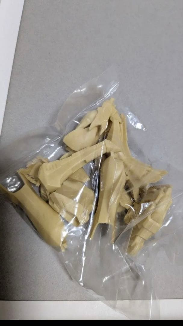 アワートレジャー　1/100 ハイレオン　FSS ガレージキット