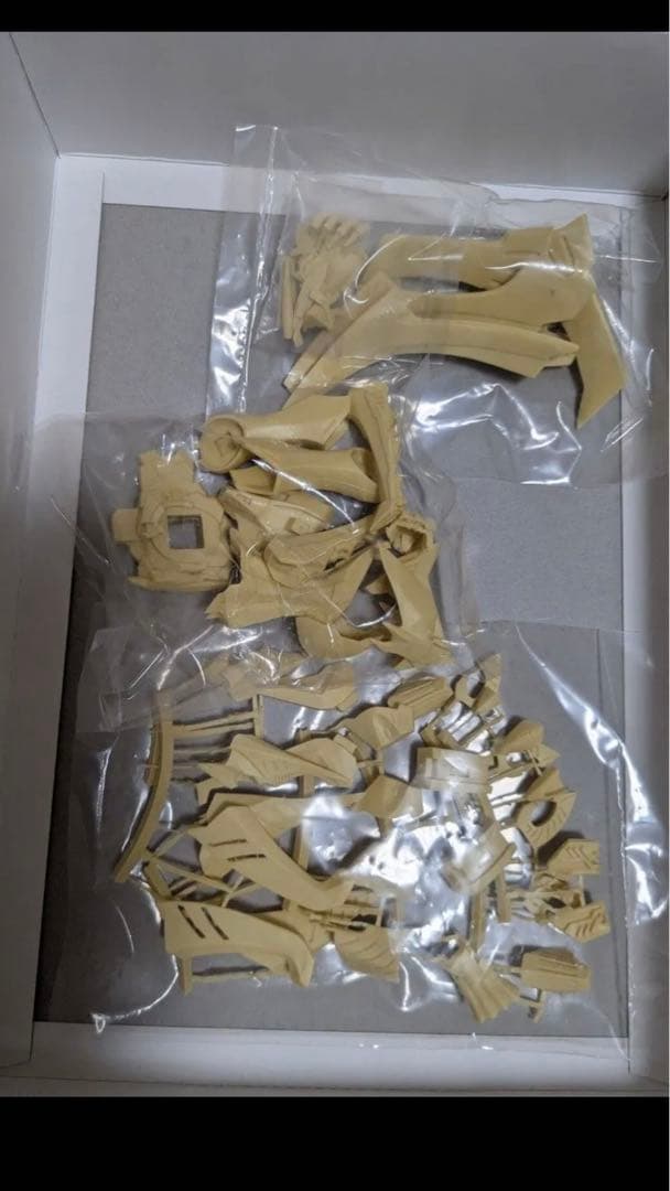 アワートレジャー　1/100 ハイレオン　FSS ガレージキット