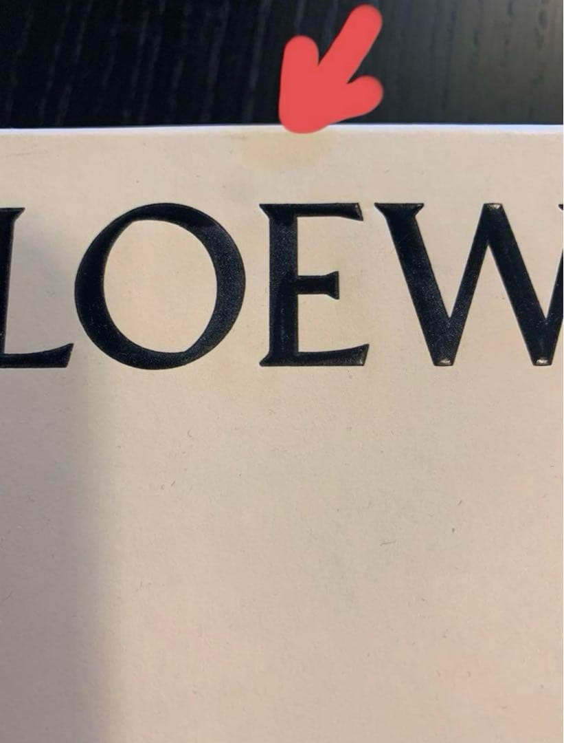 【美品】ロエベ アナグラム　ブローチ