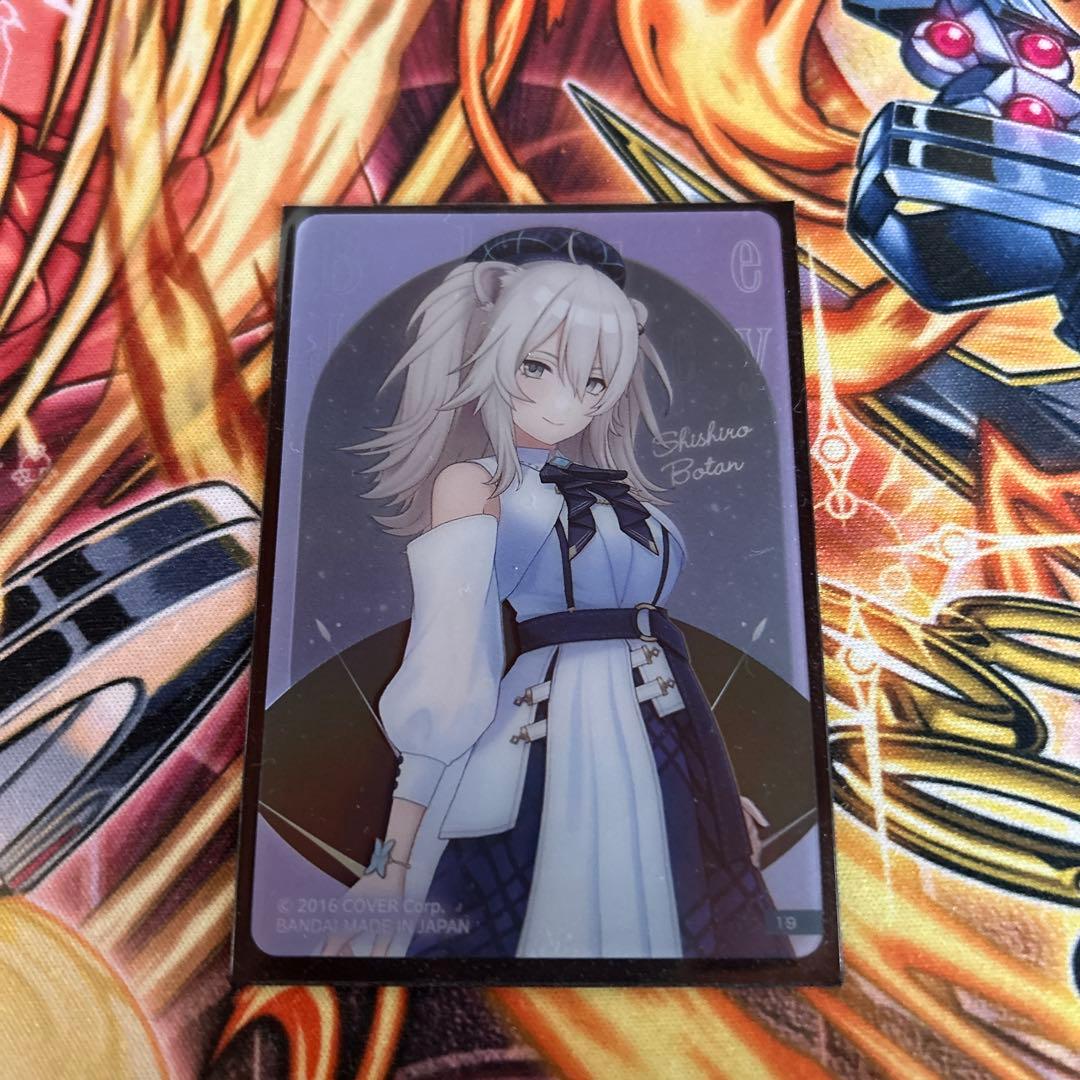 獅白ぼたんセット