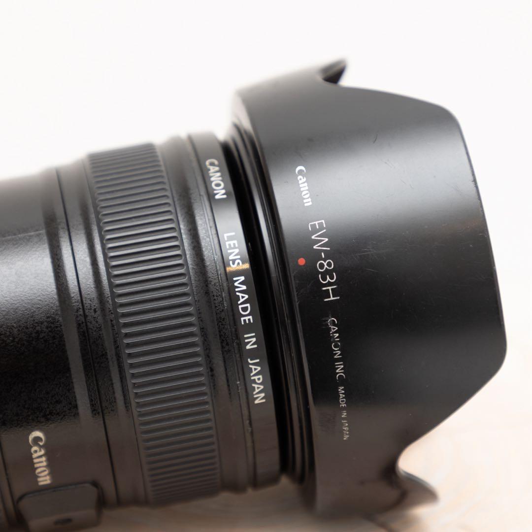 Canon EF 24-105mm f/4L IS USM /ジャンク扱い