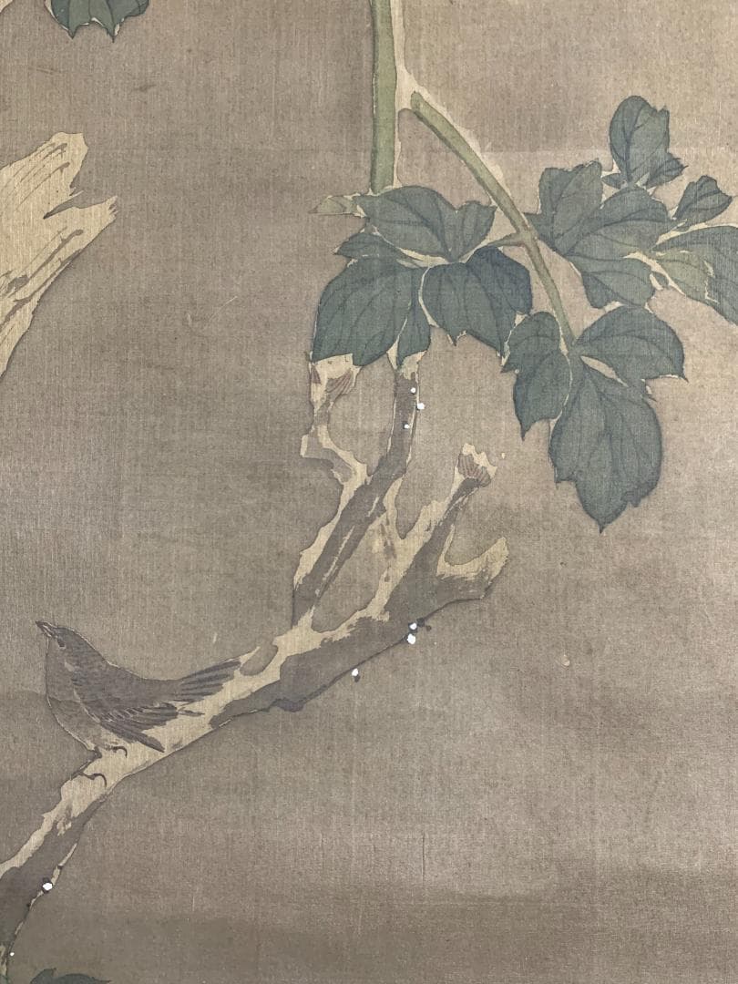 宋紫石 寒牡丹図 絹本 肉筆 掛軸 北洲極箱 長崎派 中国画 江戸中期 7636