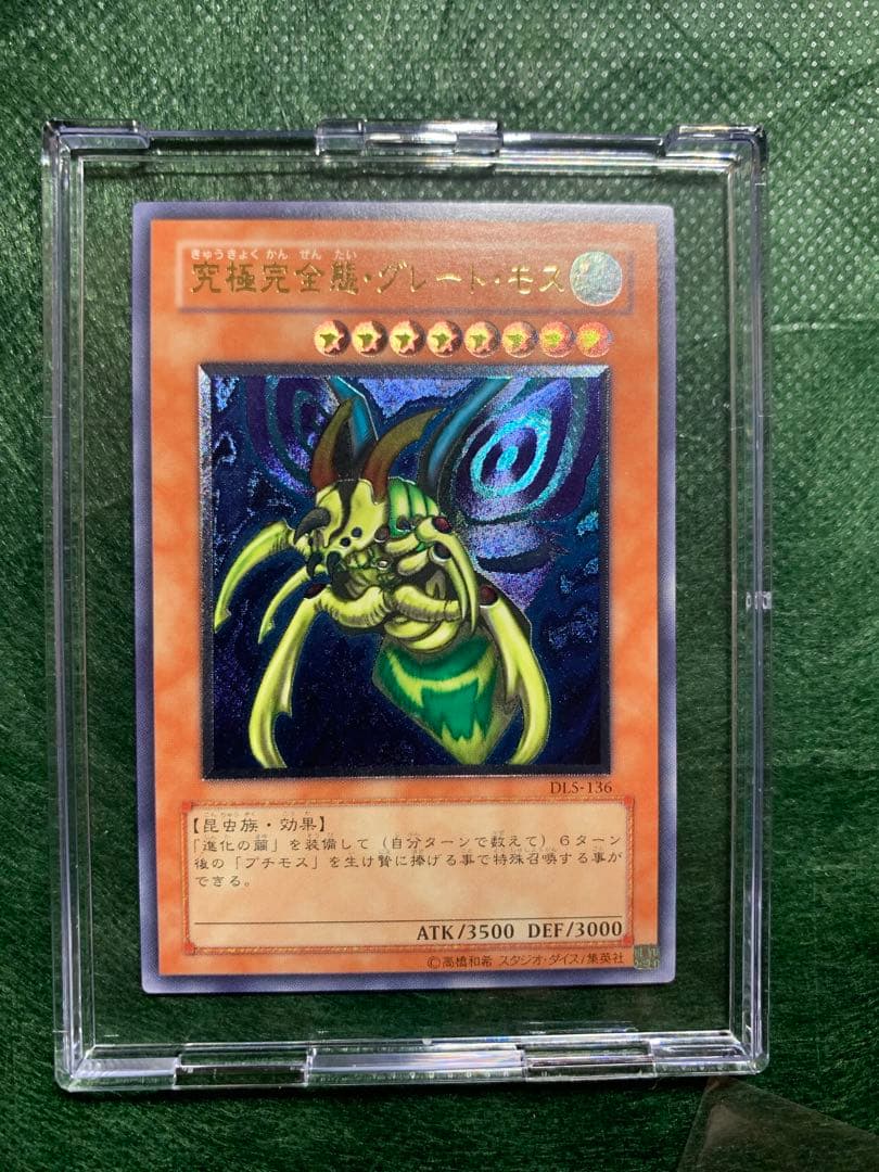 katsu-curry　希少　究極完全態グレートモスレリーフ仕様