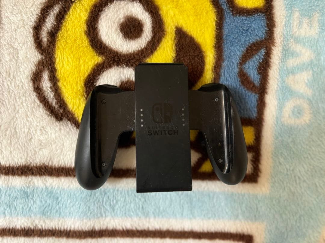 ニンテンドーSwitch (2021年購入)