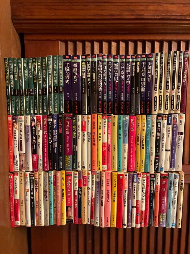 年末お値引き 早い者勝ち‼️ 出版社も著者もいろいろ官能小説 100冊 まとめ売り