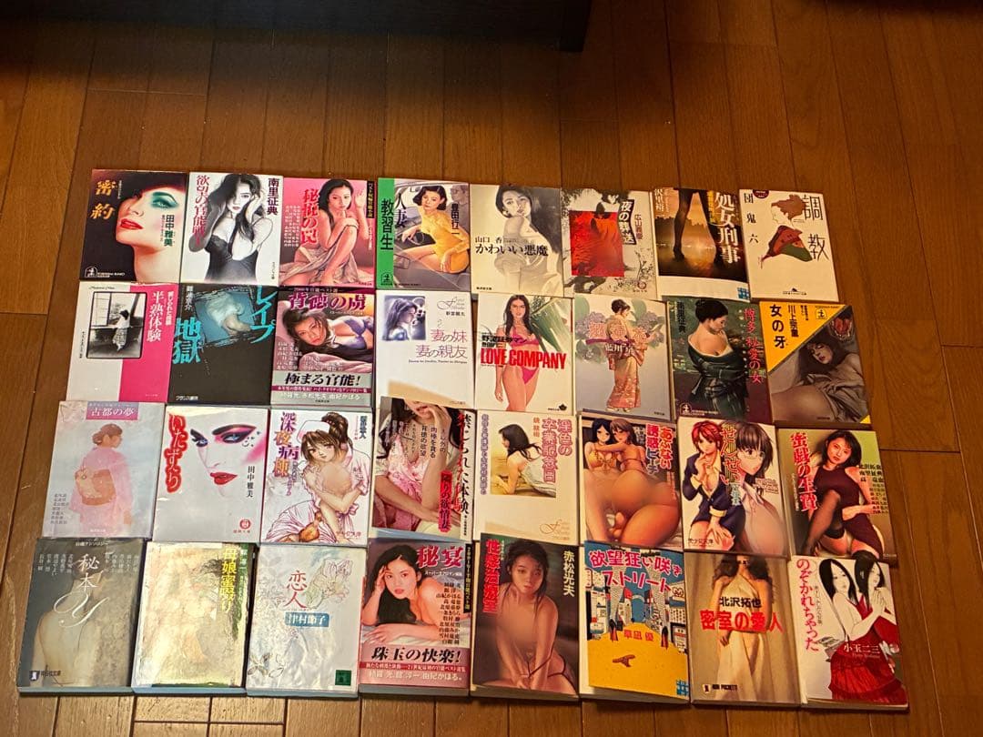 年末お値引き 早い者勝ち‼️ 出版社も著者もいろいろ官能小説 100冊 まとめ売り