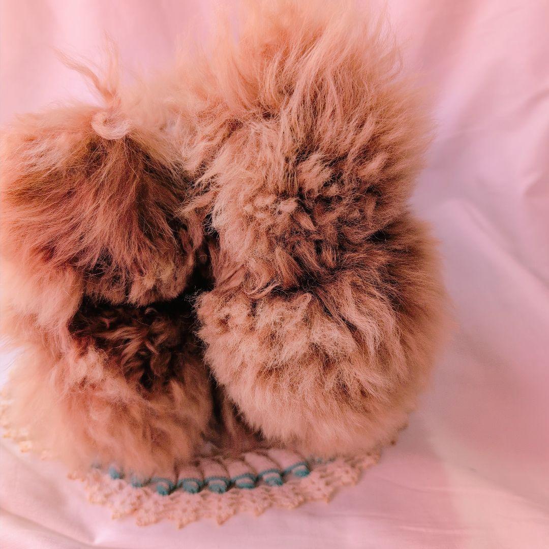 アルパカ100%　ぬいぐるみ　新品タグ付　アニマル　犬　ラマ