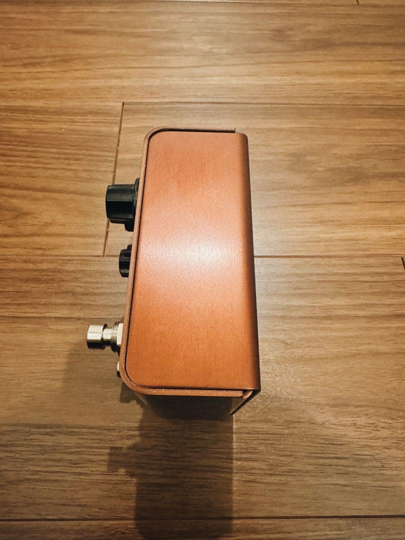 ギター Strymon Lex