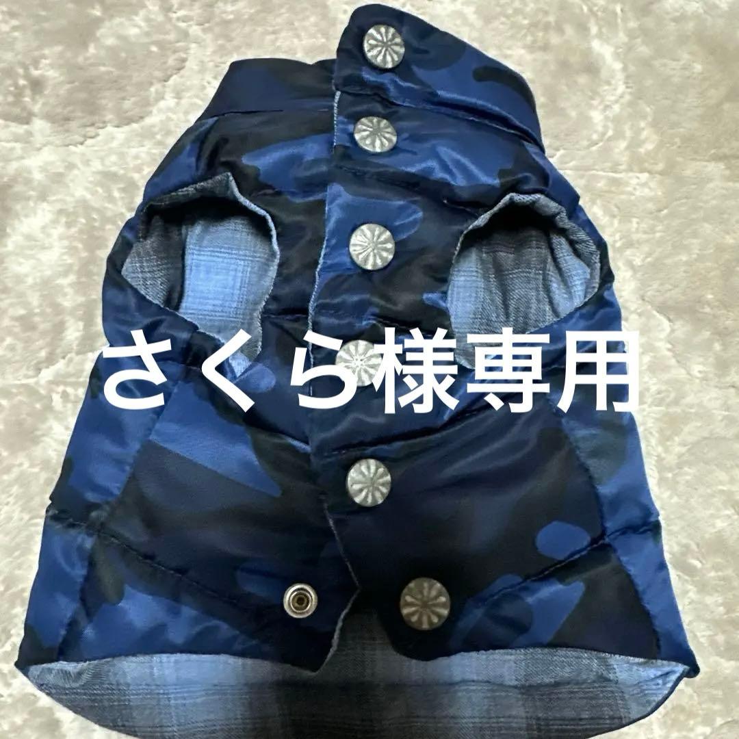 さくら サイズ2