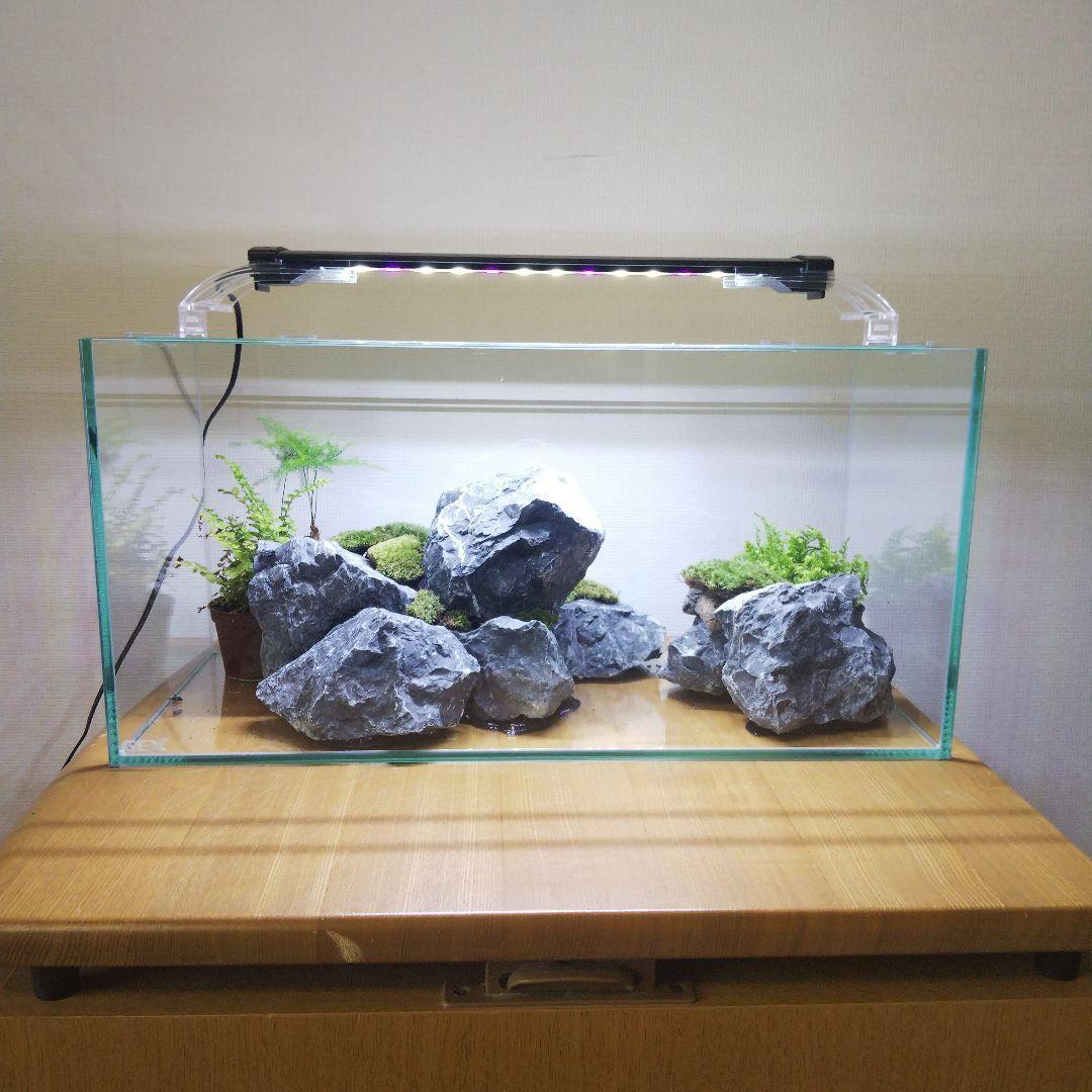 【受注生産】アクアリウム