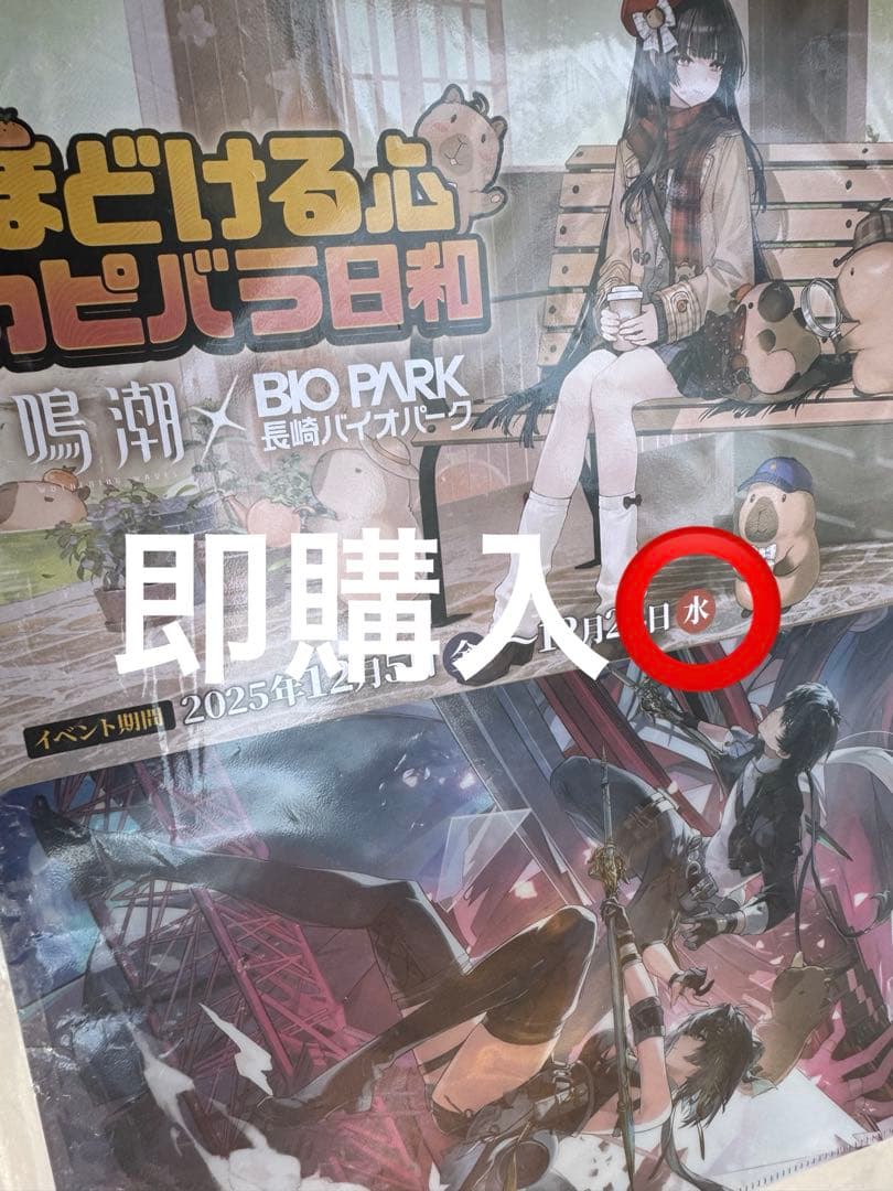 鳴潮 千咲 5点セット クリアファイル ポストカード×2 ホログラムチケット