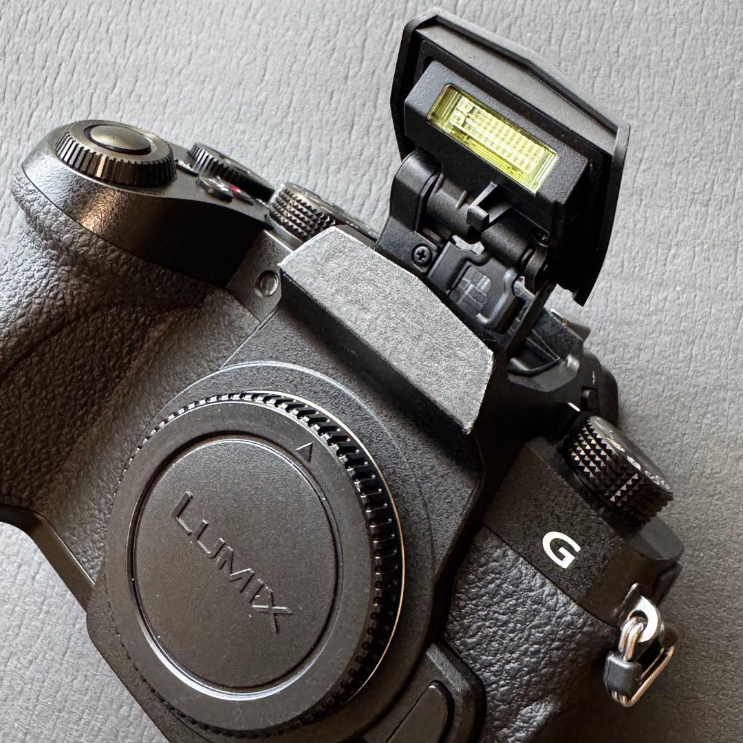 【美品】LUMIX DC-G99