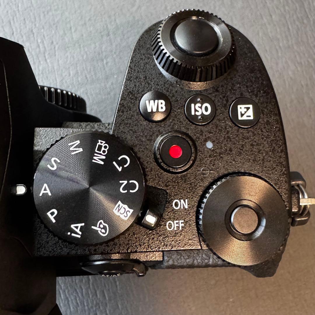 【美品】LUMIX DC-G99