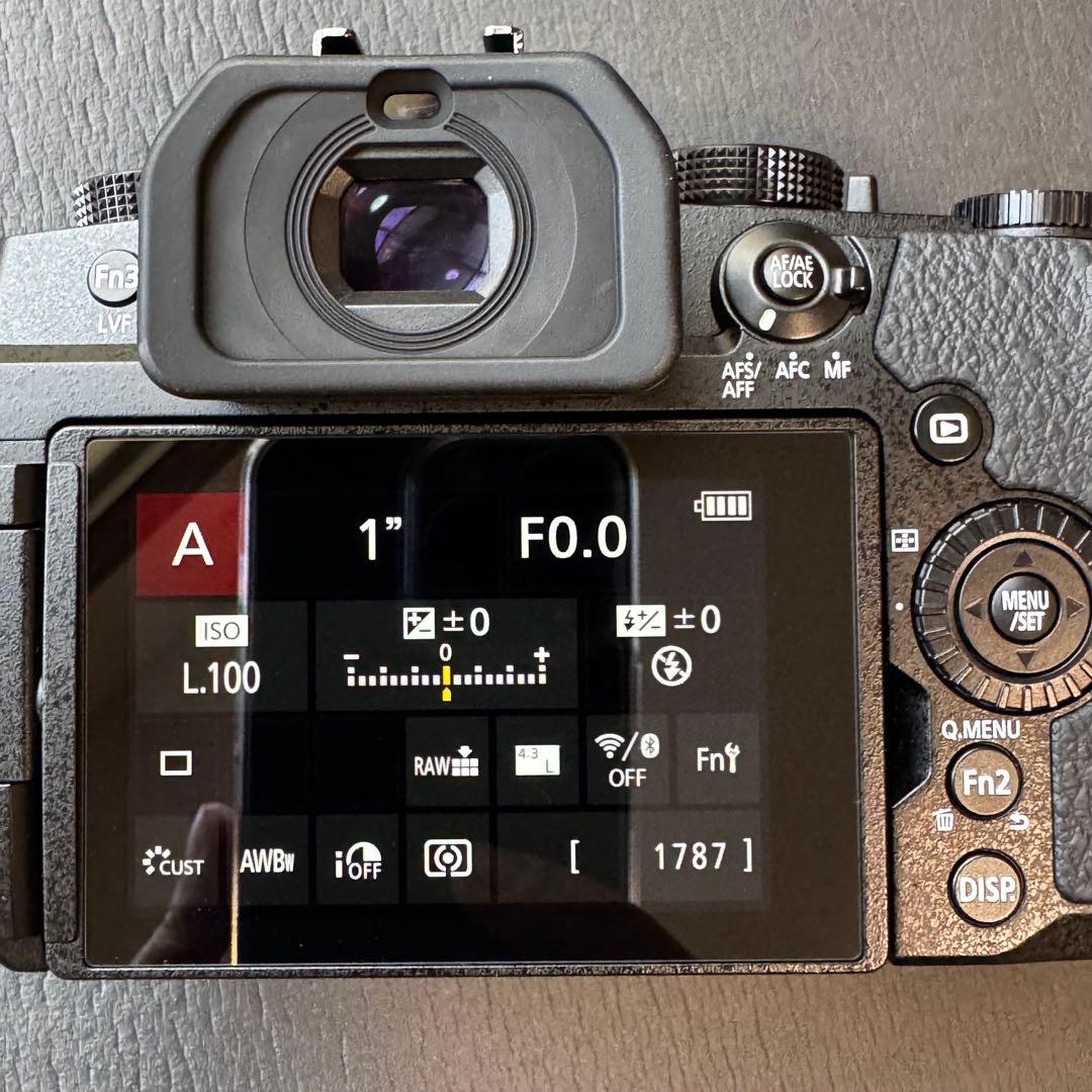 【美品】LUMIX DC-G99