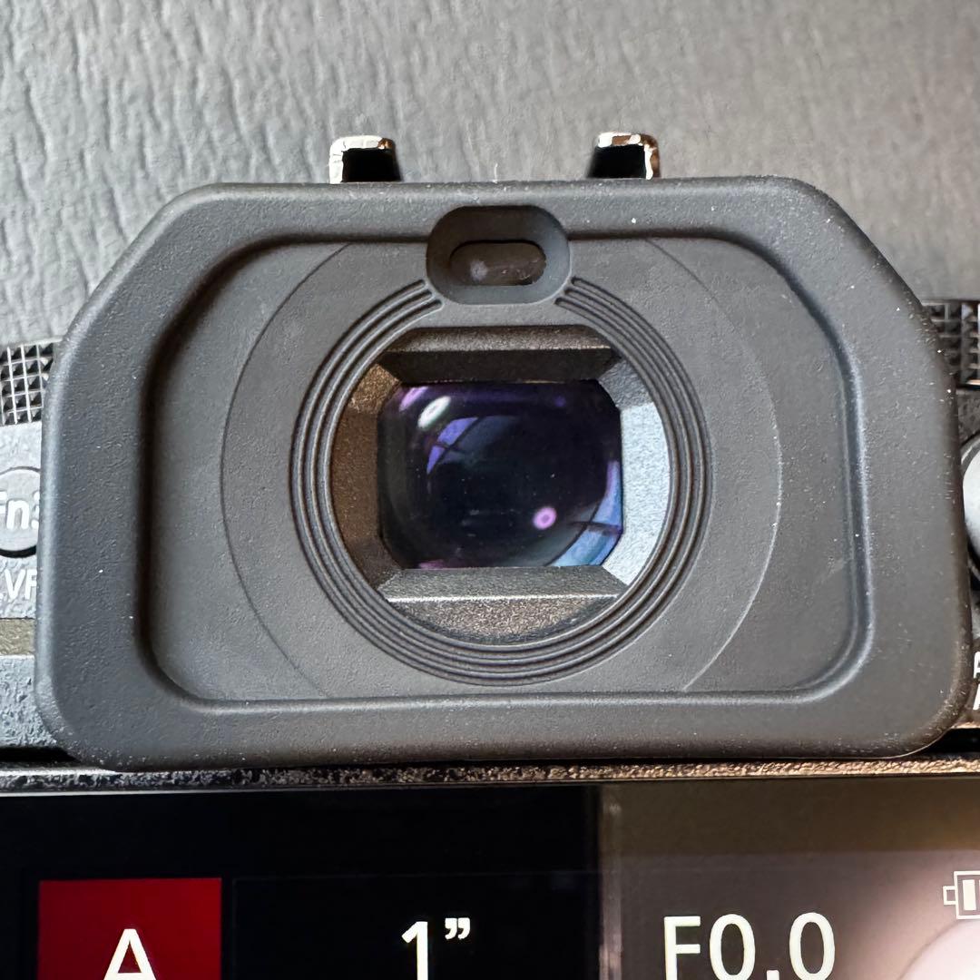 【美品】LUMIX DC-G99