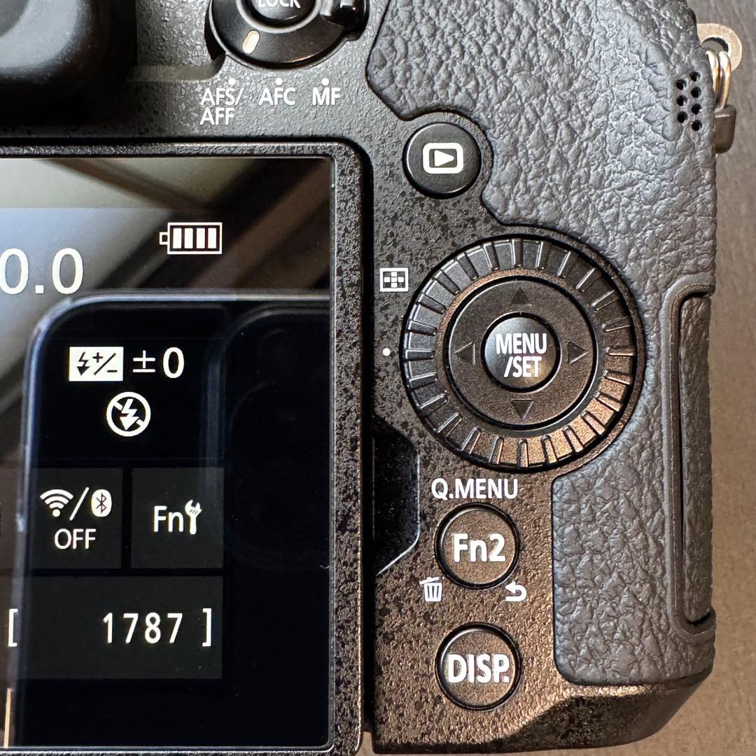 【美品】LUMIX DC-G99