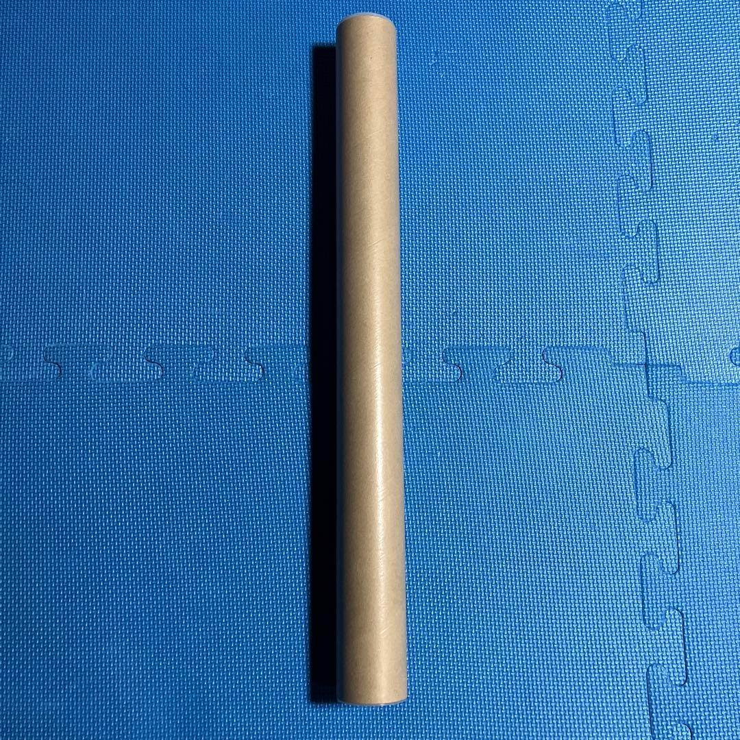 井口裕香 週刊プレイボーイ オンラインサイン会 15冊券特典 B2 ポスター