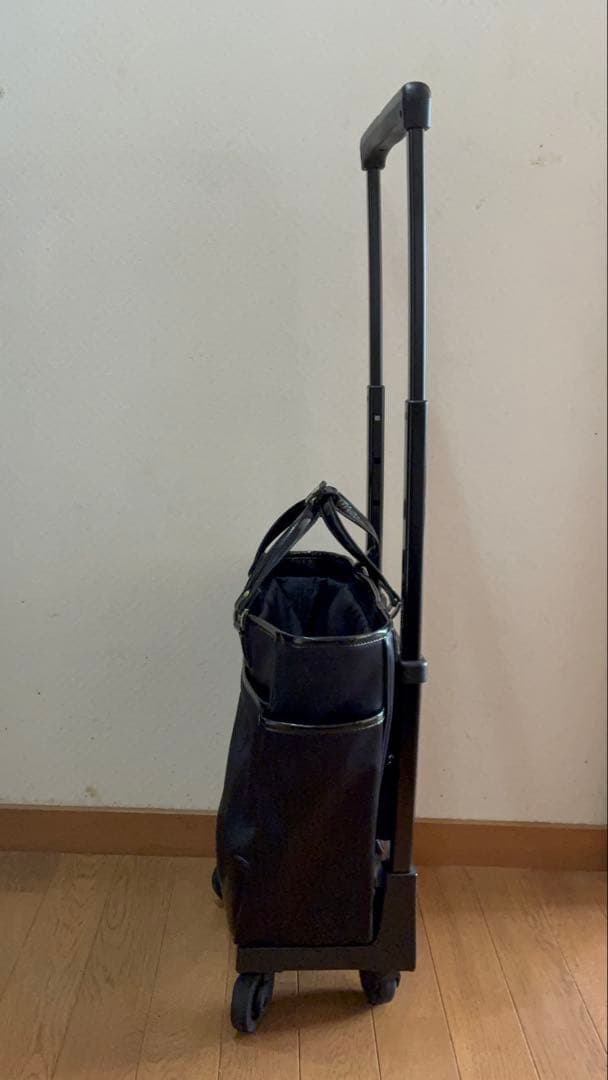 SWANY キャリーバッグ ショッピングカート ウォーキングバッグ 黒