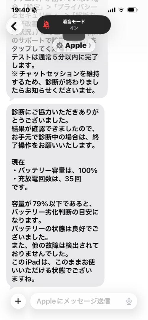 【バッテリー100%】iPad Pro 512GB