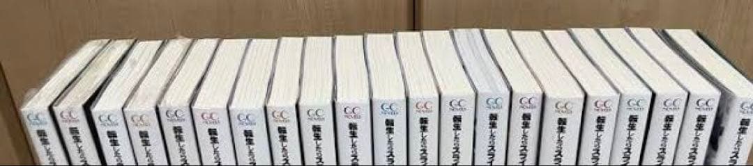 転生したらスライムだった件 1−21➕️8.5➕️13.5巻 全巻小説 計23冊