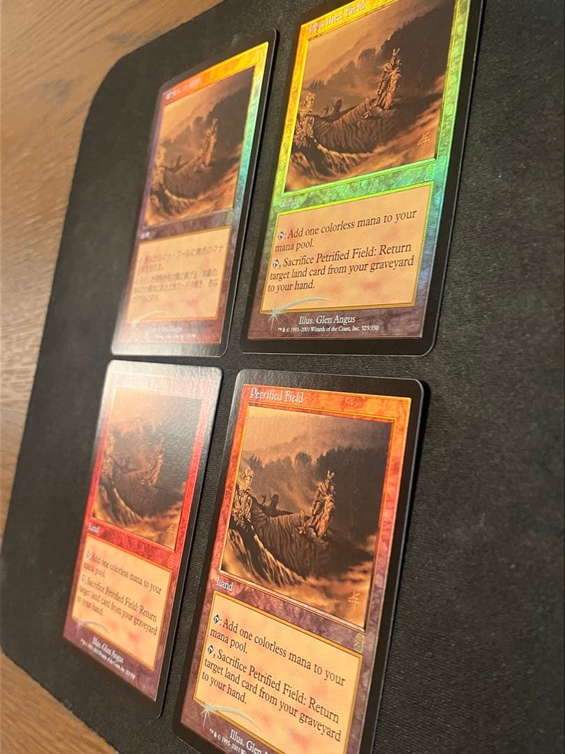 MTG【石化した原野/Petrified Field】foil ODY