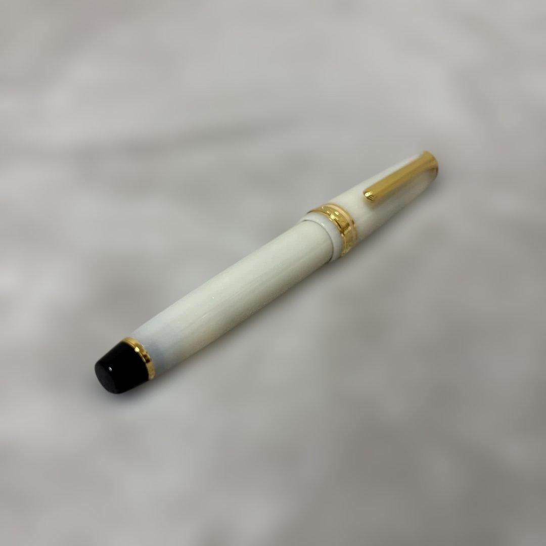 完売品：SAILOR万年筆 SHIKIORI 四季織 雪月空葉 専用箱付き