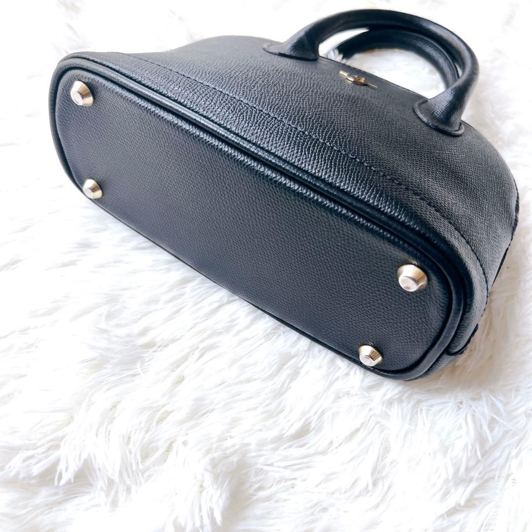 【入手困難】CARBOTTI カルボッティベリーナハンドバッグ 黒　未使用級