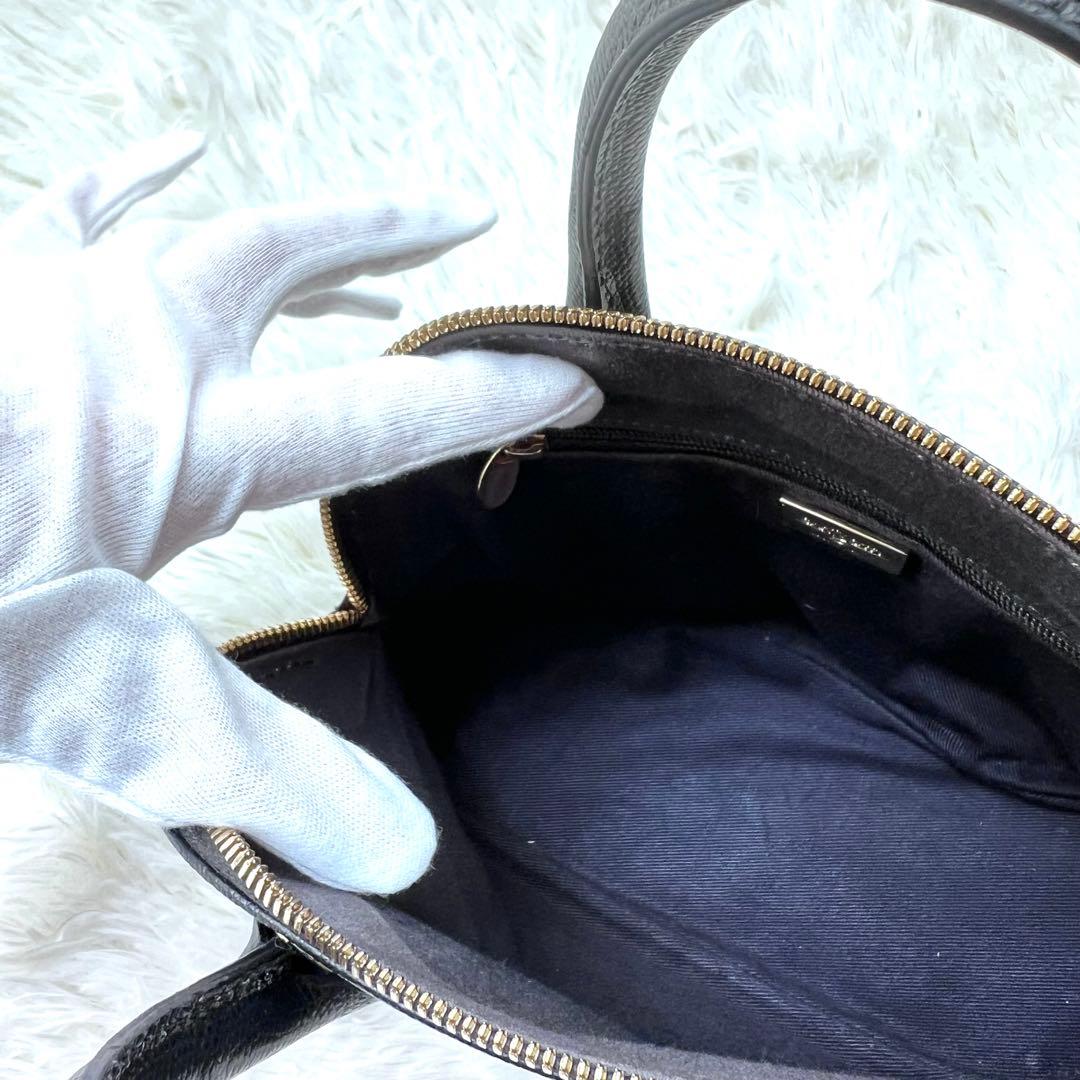 【入手困難】CARBOTTI カルボッティベリーナハンドバッグ 黒　未使用級