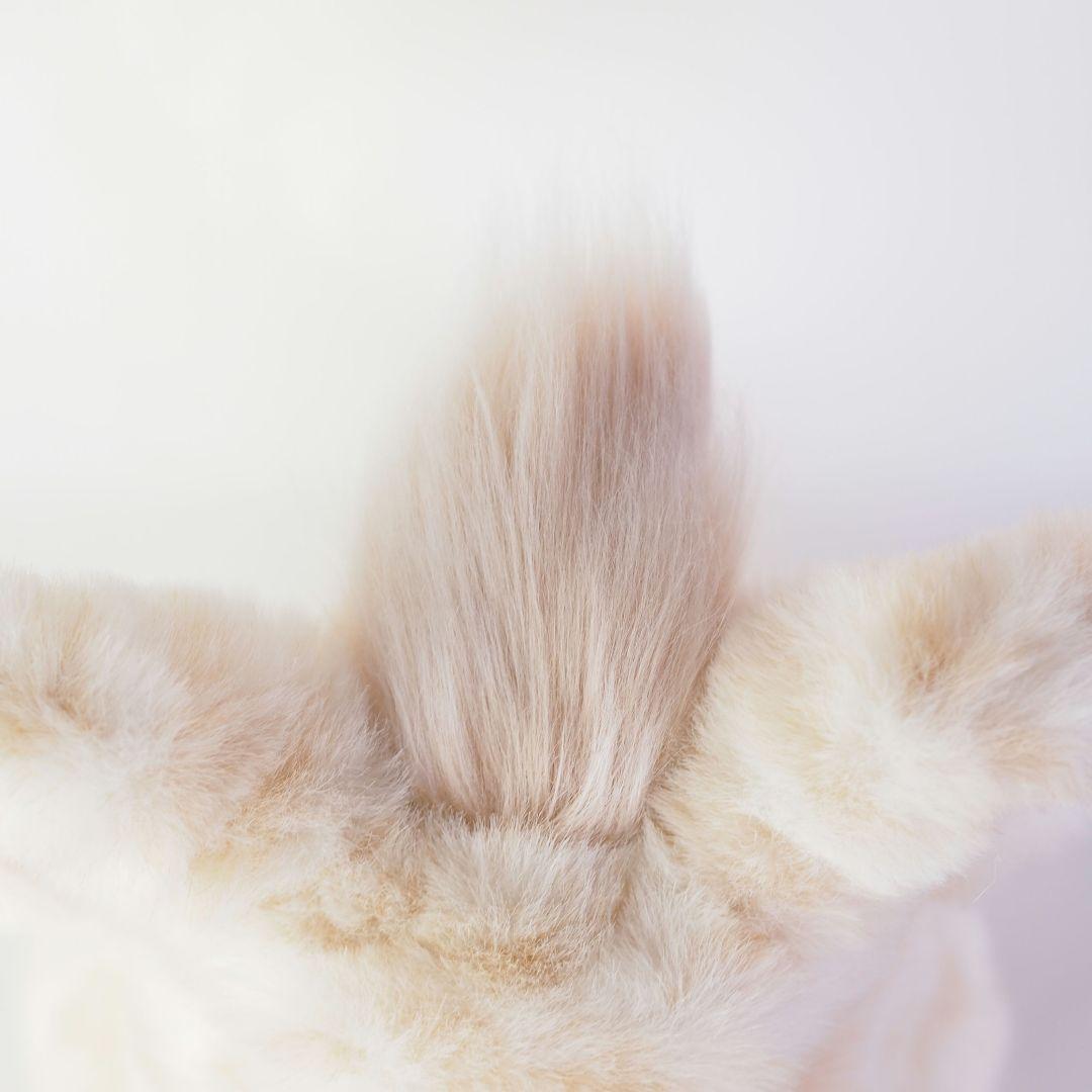 【稼動品】ファービー2 キャラメルシロップ 茶色目 ドイツ語版