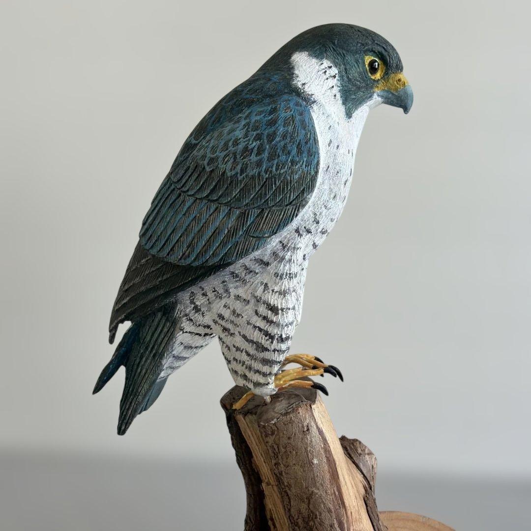 ハヤブサ (隼) 木彫りの野鳥　野鳥彫刻　バードカービング 　　　　　リアル野鳥