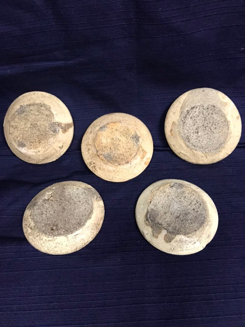 瀬戸の豆皿(石皿)  仔犬  5枚組 (A)