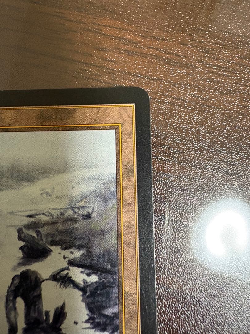 Polluted Delta 汚染された三角州