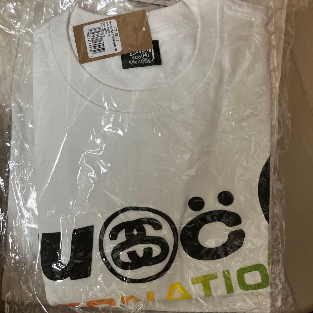 STUSSY cactus コラボTシャツ