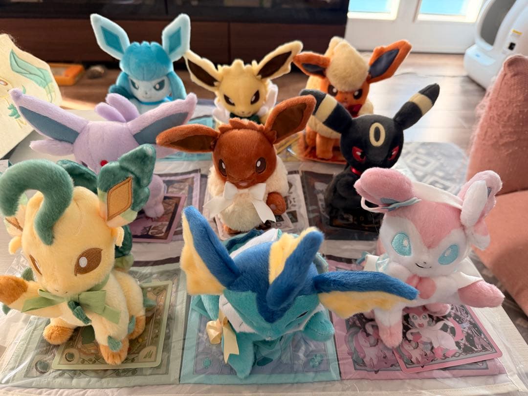 【10点セット】Eevee Collection ぬいぐるみ＋ウォールポケット
