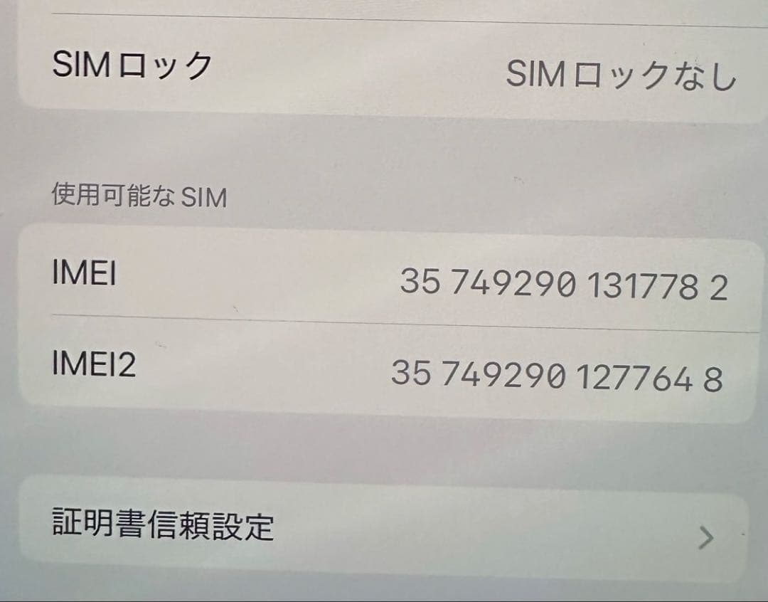 ほぼ新品　Apple iPhone 13 512GB