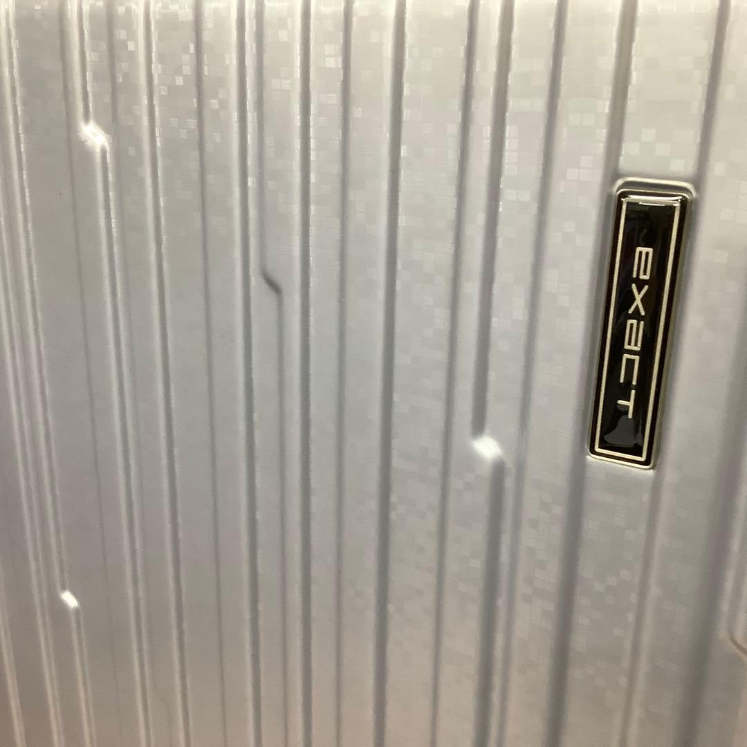 新品　ACE イグザクト プリズム ボディ スーツケース 57-65L　※275