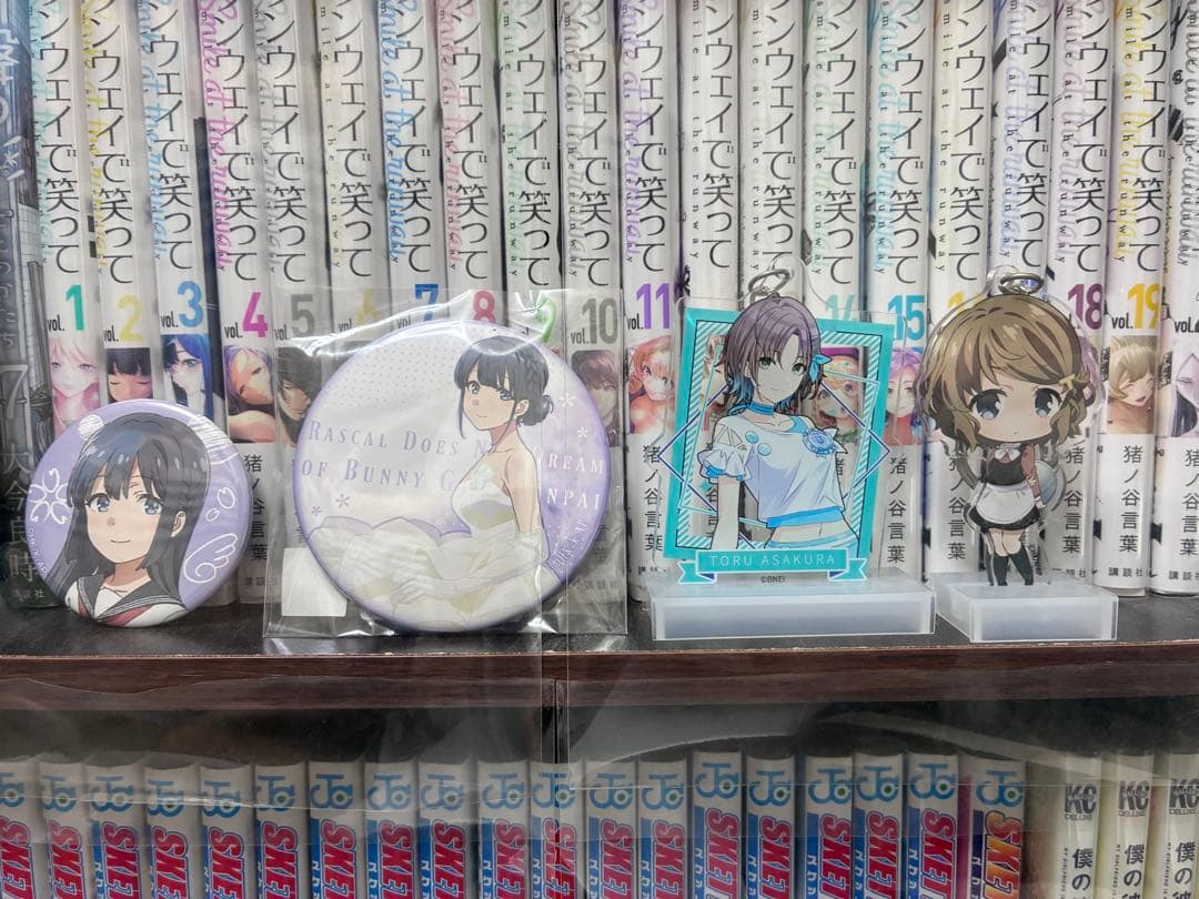 各種フィギュアやアクスタなど