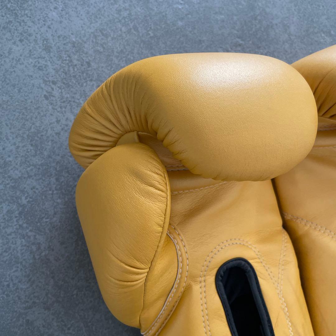 【 SALE 】Fairtex ボクシンググローブ　16oz