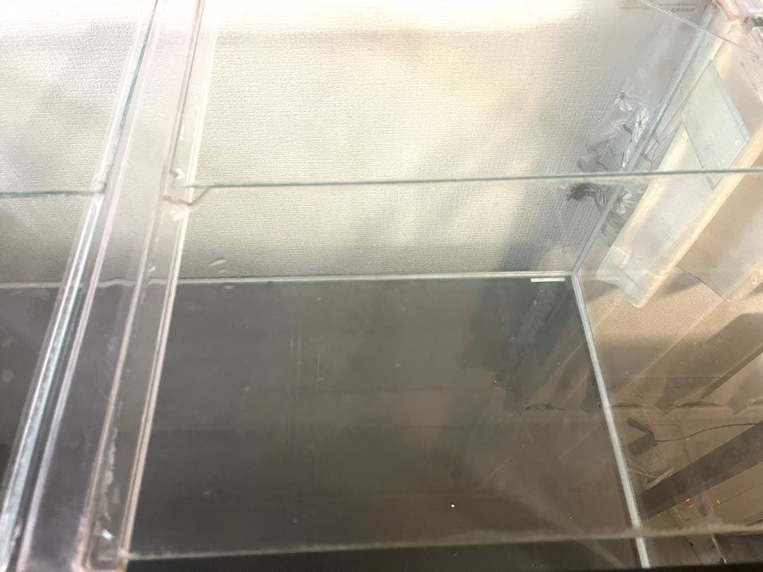 90cmガラス水槽 キャビネット 外部フィルター ヒーター☆引き取り限定☆