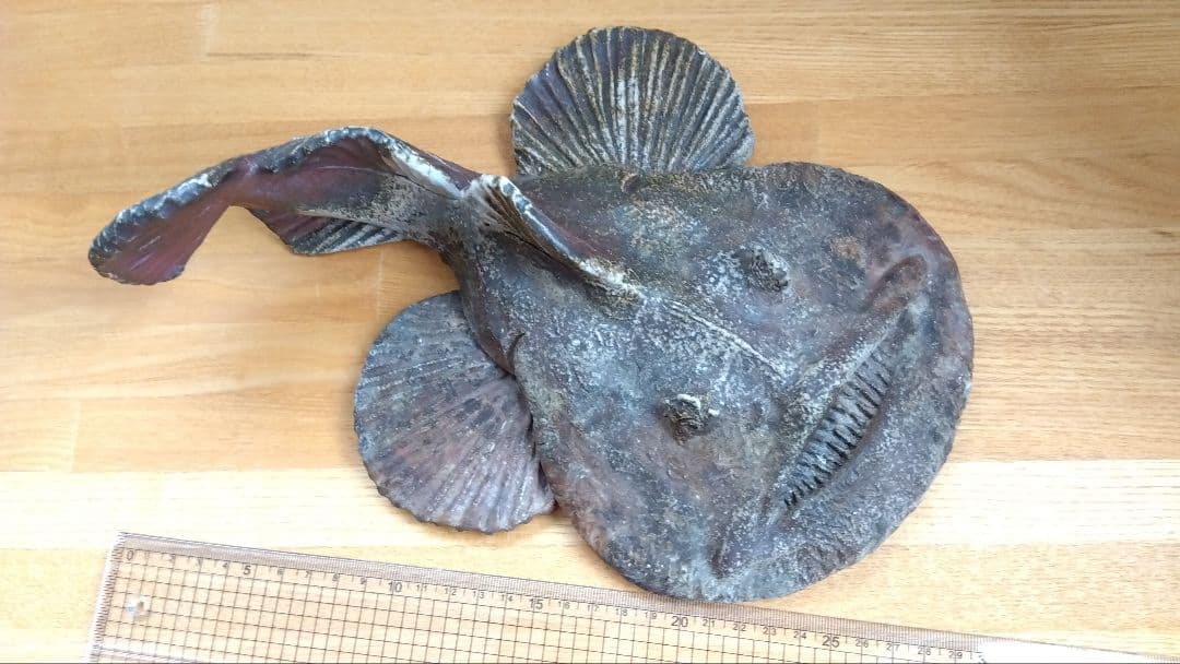 備前焼　あんこう　鮟鱇　置物