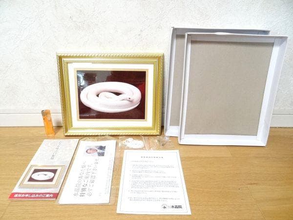 新品 水晶院 お金を呼ぶ白蛇様 写真 額付き 金運 幸運 開運