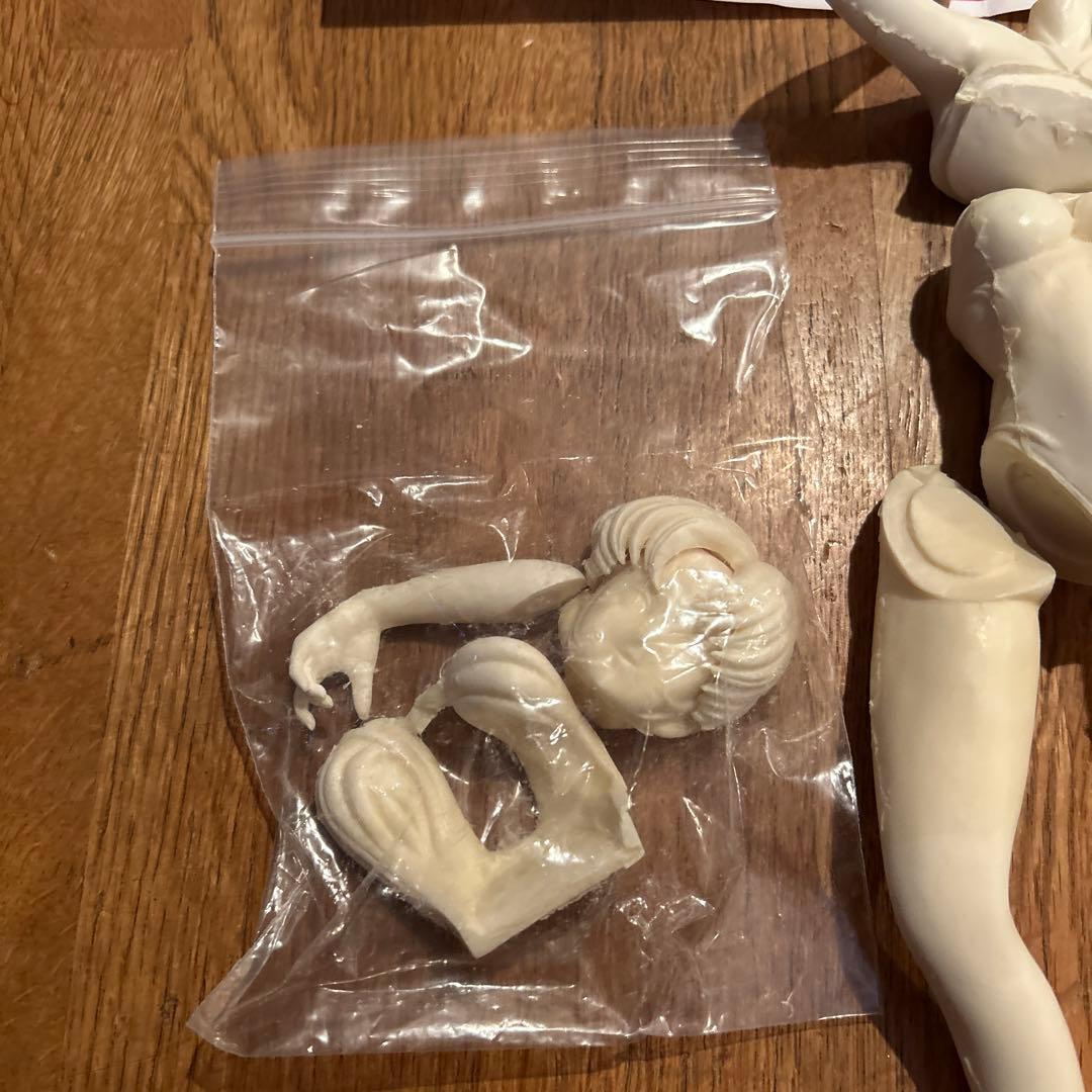 超時空要塞マクロス　早瀬未沙 水着ver. デイジー・モデル