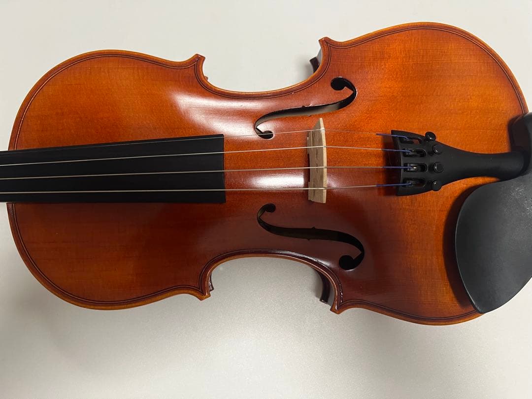 Eastman SVL80セット 4/4 バイオリン 初心者セット イーストマン