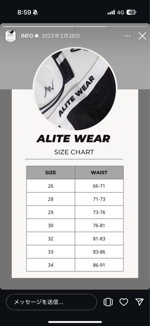 【新品未使用】ALITE WEAR 28インチ サーフパンツ