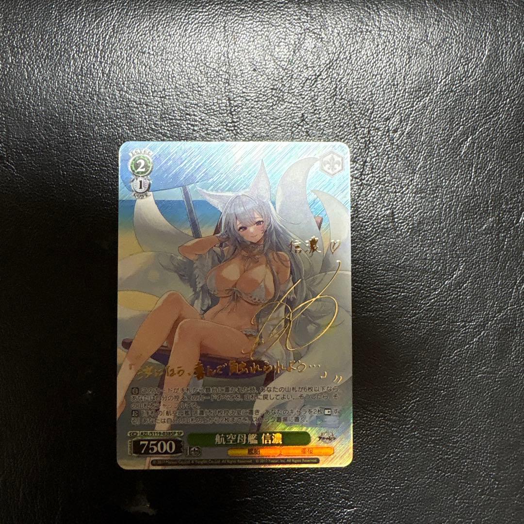 WS 航空母艦 信濃 sp