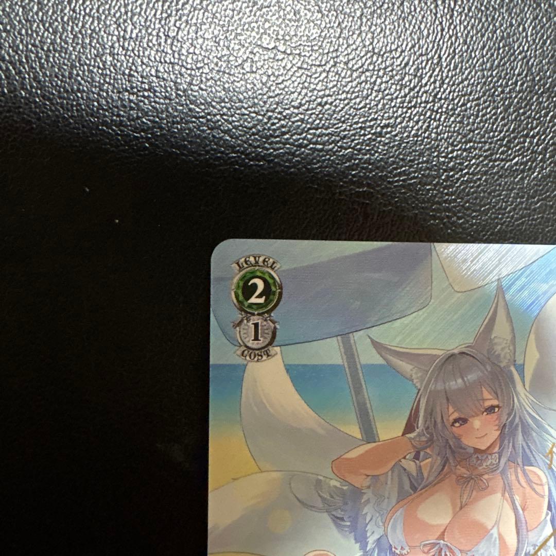 WS 航空母艦 信濃 sp