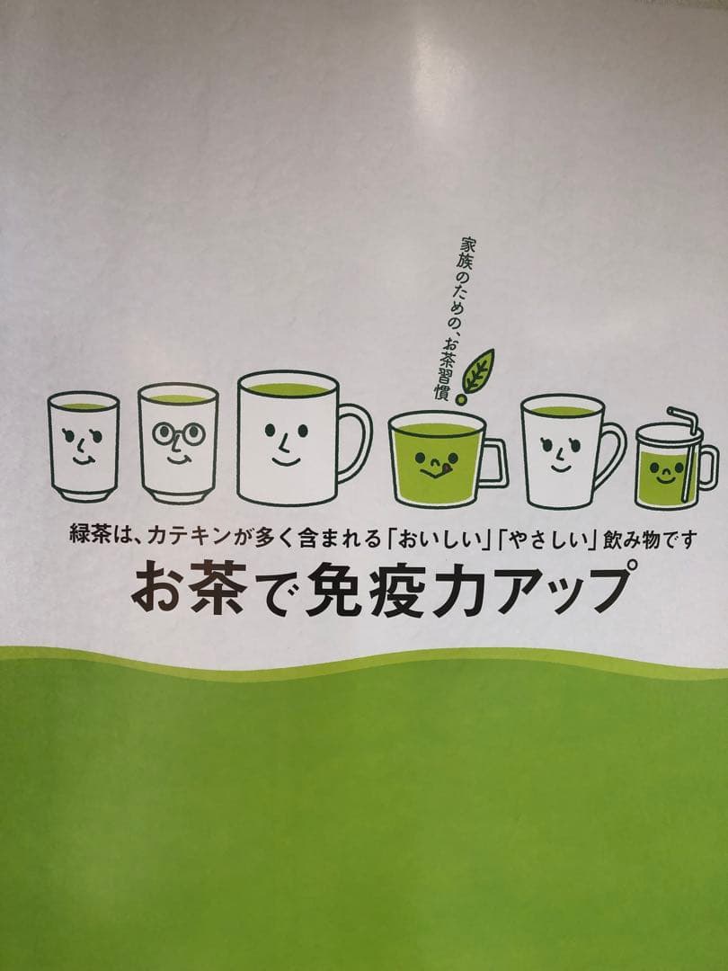 龍さん　無農薬栽培の川根茶　100g×10袋　農家直売　静岡茶