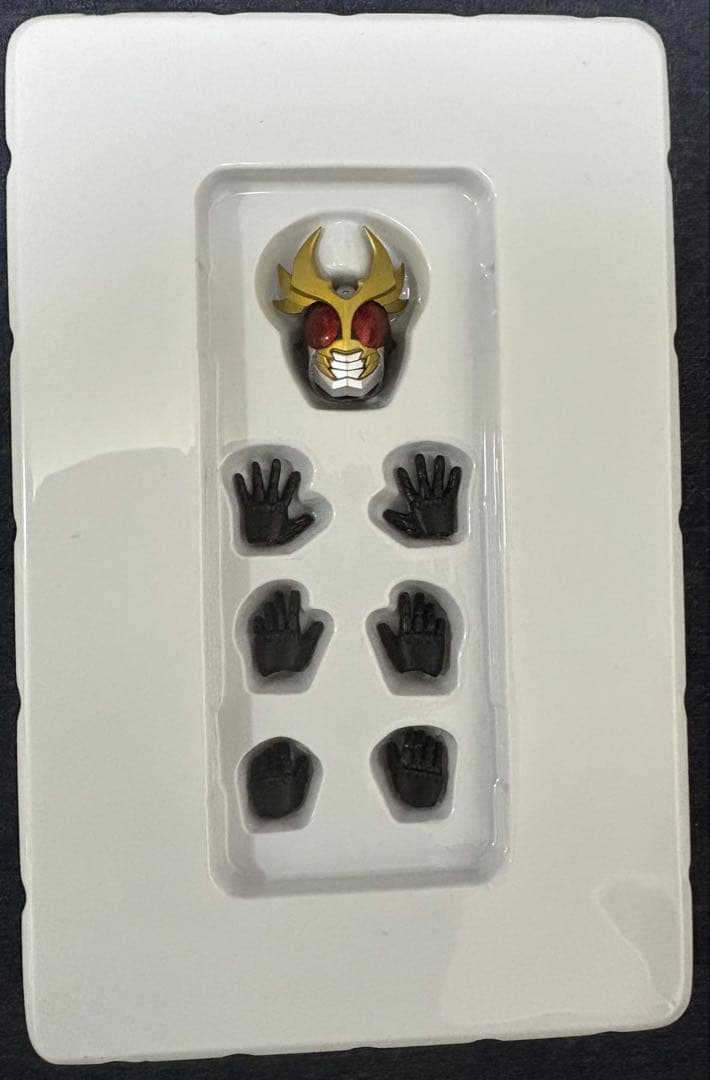 S.H.Figuarts 真骨彫 仮面ライダーアギト